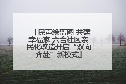 民声绘蓝图 共建幸福家 六合社区亲民化改造开启“双向奔赴”新模式