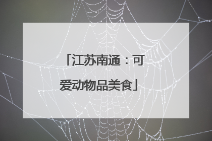 江苏南通：可爱动物品美食