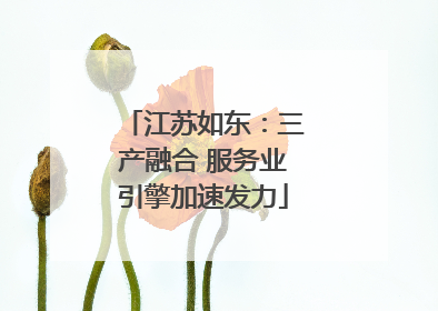 江苏如东：三产融合 服务业引擎加速发力
