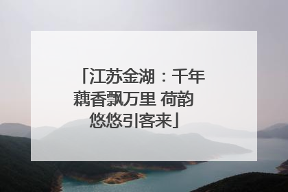 江苏金湖：千年藕香飘万里 荷韵悠悠引客来