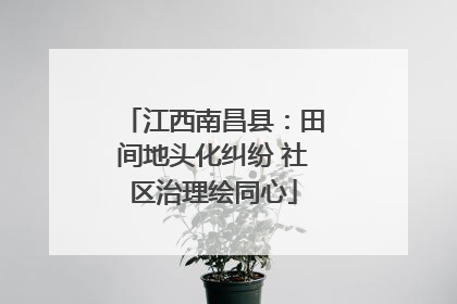 江西南昌县：田间地头化纠纷 社区治理绘同心