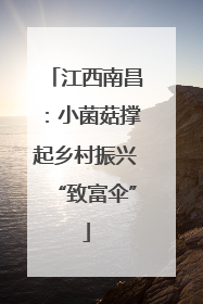 江西南昌：小菌菇撑起乡村振兴“致富伞”