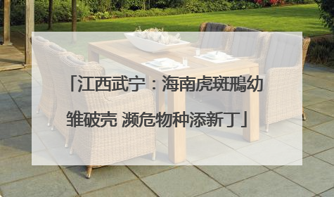 江西武宁：海南虎斑鳽幼雏破壳 濒危物种添新丁