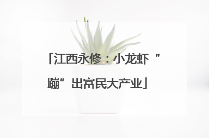 江西永修：小龙虾“蹦”出富民大产业