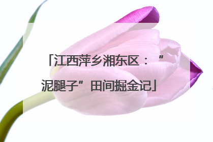 江西萍乡湘东区：“泥腿子”田间掘金记