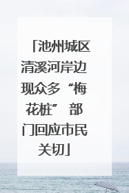 池州城区清溪河岸边现众多“梅花桩” 部门回应市民关切