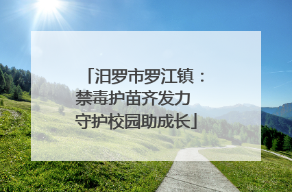 汨罗市罗江镇：禁毒护苗齐发力 守护校园助成长