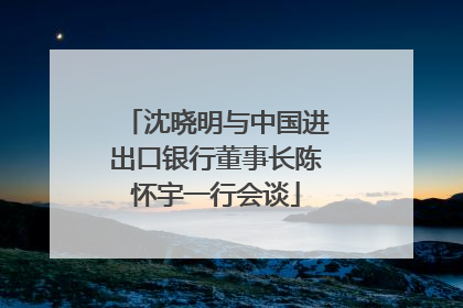 沈晓明与中国进出口银行董事长陈怀宇一行会谈
