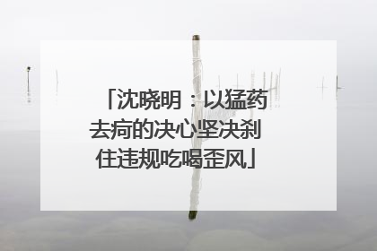 沈晓明：以猛药去疴的决心坚决刹住违规吃喝歪风