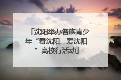 沈阳举办各族青少年“看沈阳、爱沈阳”高校行活动