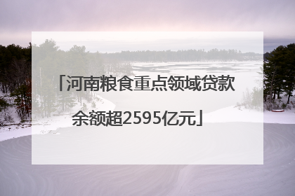 河南粮食重点领域贷款余额超2595亿元