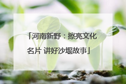 河南新野：擦亮文化名片 讲好沙堰故事