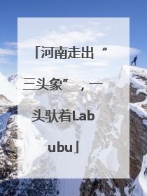 河南走出“三头象”，一头驮着Labubu
