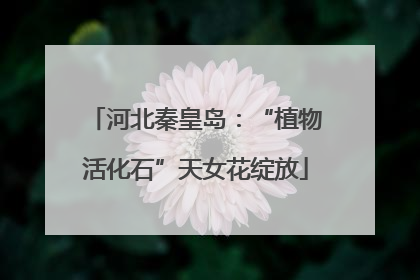 河北秦皇岛：“植物活化石”天女花绽放