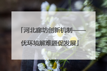 河北廊坊创新机制——优环境解难题促发展