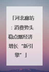 河北廊坊：消费势头稳点燃经济增长“新引擎”