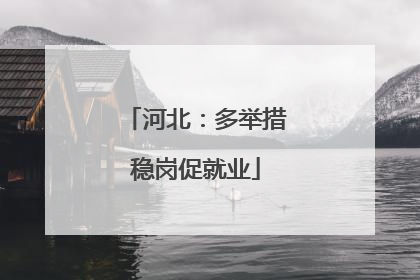 河北：多举措稳岗促就业