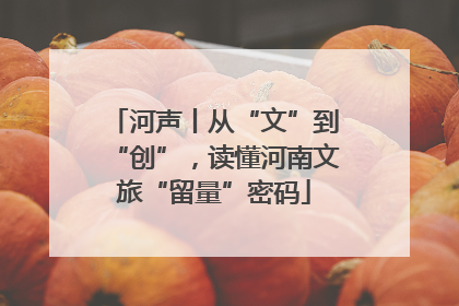 河声丨从“文”到“创”，读懂河南文旅“留量”密码