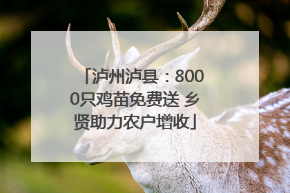 泸州泸县：8000只鸡苗免费送 乡贤助力农户增收