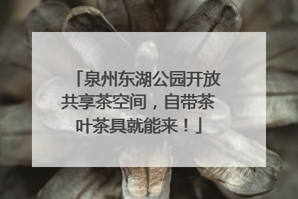 泉州东湖公园开放共享茶空间，自带茶叶茶具就能来！