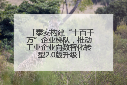 泰安构建“十百千万”企业梯队，推动工业企业向数智化转型2.0版升级
