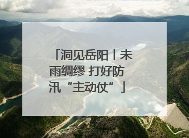 洞见岳阳丨未雨绸缪 打好防汛“主动仗”