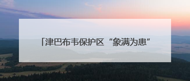 津巴布韦保护区“象满为患”，当局称将扑杀供居民食用