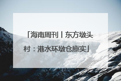 海南周刊丨东方墩头村：港水环墩仓廪实