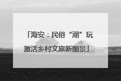 海安：民俗“潮”玩激活乡村文旅新图景