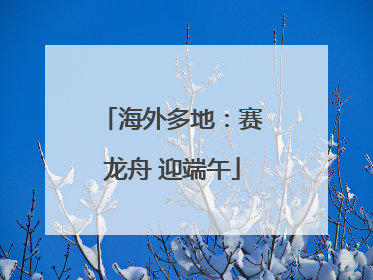 海外多地：赛龙舟 迎端午