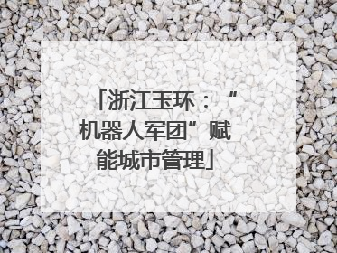 浙江玉环：“机器人军团”赋能城市管理
