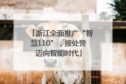 浙江全面推广“智慧110”，接处警迈向智能时代