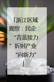 浙江区域观察：民企“青蓝接力”折射产业“向新力”