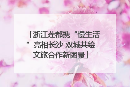 浙江莲都携“慢生活”亮相长沙 双城共绘文旅合作新图景
