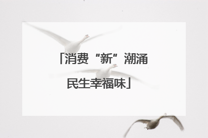 消费“新”潮涌 民生幸福味