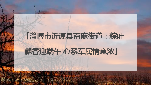 淄博市沂源县南麻街道：粽叶飘香迎端午 心系军属情意浓