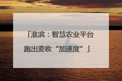 淮滨：智慧农业平台跑出麦收“加速度”