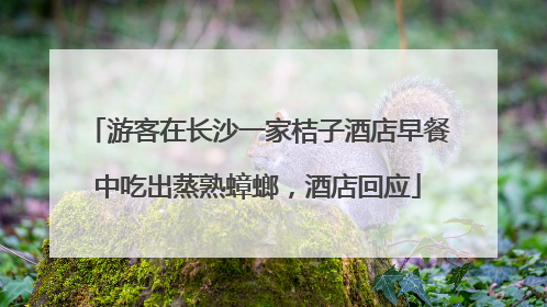 游客在长沙一家桔子酒店早餐中吃出蒸熟蟑螂，酒店回应