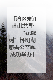 湾区泉涌·南北共擎——“花楸树”杯明湖慈善公益跑成功举办