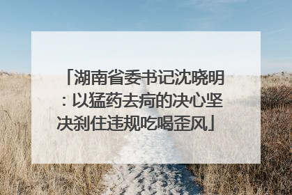 湖南省委书记沈晓明：以猛药去疴的决心坚决刹住违规吃喝歪风