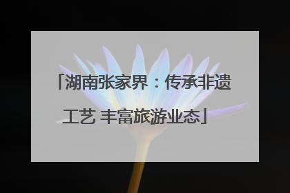 湖南张家界：传承非遗工艺 丰富旅游业态