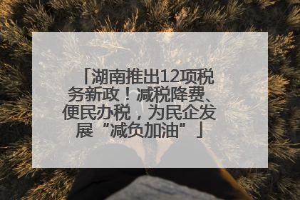 湖南推出12项税务新政！减税降费、便民办税，为民企发展“减负加油”