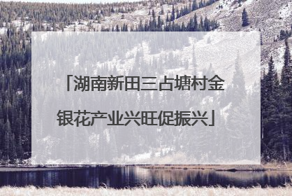湖南新田三占塘村金银花产业兴旺促振兴