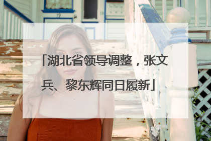 湖北省领导调整，张文兵、黎东辉同日履新