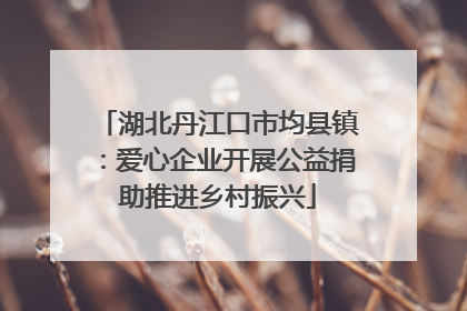 湖北丹江口市均县镇：爱心企业开展公益捐助推进乡村振兴