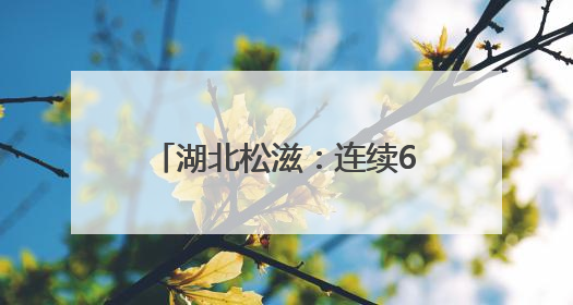 湖北松滋：连续6年，“书记论坛”抢“千万红包”