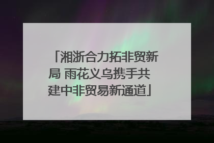 湘浙合力拓非贸新局 雨花义乌携手共建中非贸易新通道