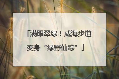 满眼翠绿！威海步道变身“绿野仙踪”