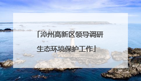漳州高新区领导调研生态环境保护工作