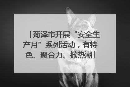 菏泽市开展“安全生产月”系列活动，有特色、聚合力、掀热潮
